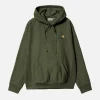 CARHARTT WIP Sweats & Polaires | American Script Hoodie Tarrago