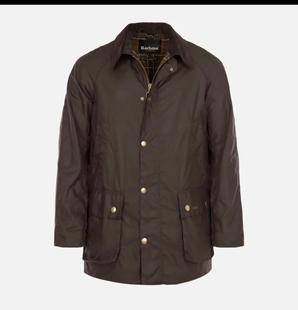 BARBOUR Vestes | Blousons & Manteaux | Ashby Jacket Olive