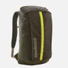 PATAGONIA ACCESSORIES Sacs À Dos | Black Hole 25l Pineneedlegreen