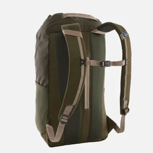 PATAGONIA ACCESSORIES Sacs À Dos | Black Hole 25l Pineneedlegreen