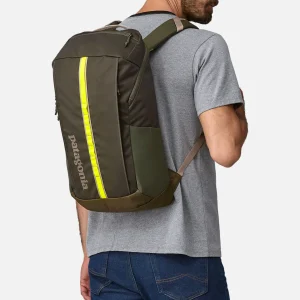 PATAGONIA ACCESSORIES Sacs À Dos | Black Hole 25l Pineneedlegreen