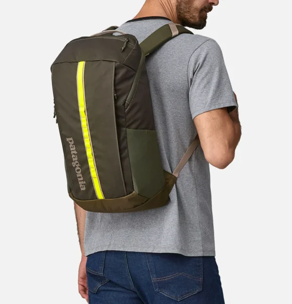 PATAGONIA ACCESSORIES Sacs À Dos | Black Hole 25l Pineneedlegreen