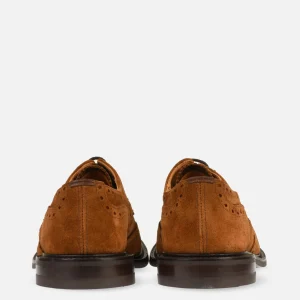 TRICKERS Chaussures | Chaussures Bourton Snuff Suede