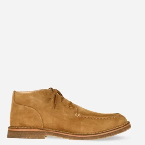 ASTORFLEX Chaussures | Chaussures Dukeflex Whisky