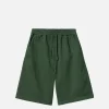 CARHARTT WIP Shorts | Floyde Short Sycamore Tree