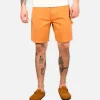 STAN RAY USA Shorts | Painter Short Driftwood Duck