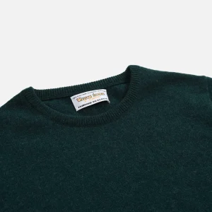 WILLIAM LOCKIE Pulls & Cardigans | Pull Col Rond Green Astra