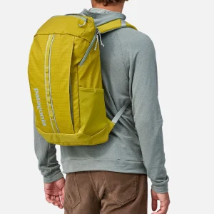 PATAGONIA ACCESSORIES Sacs À Dos | Sac Black Hole Pack 25l SHRG