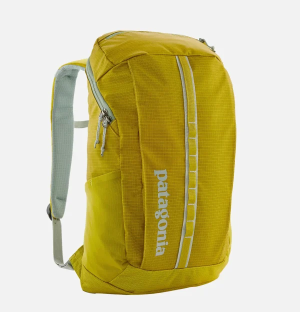 PATAGONIA ACCESSORIES Sacs À Dos | Sac Black Hole Pack 25l SHRG