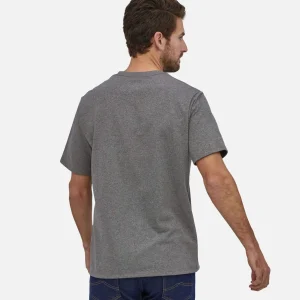 PATAGONIA T-shirts | Tshirt--P6pkt-Glh