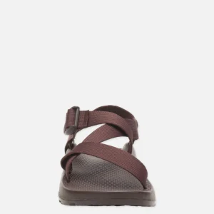 CHACO Sandales | Z1 Classic Sandal Java